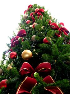 christmas_tree_sxc_hu